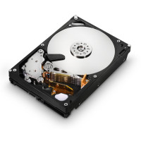 Жесткий диск Hitachi Ultrastar 1Tb 3.5" 7200rpm 32Mb cache A7K2000 SATAII