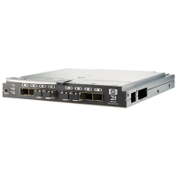HP BladeSystem Brocade 8/ 12c SAN Switch (AJ820B)