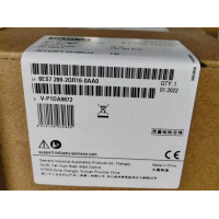 NEW SIEMENS 6ES7288-2QR16-0AA0 6ES7 288-2QR16-0AA0 Digital Output Module
