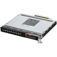 WW060-OSTK PowerEdge M1000e 1Gb 16P Eth Pass-Thru Mod