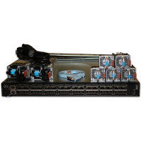 Dell Networking S6010-ON 32P 40GbE QSFP+ RA Switch